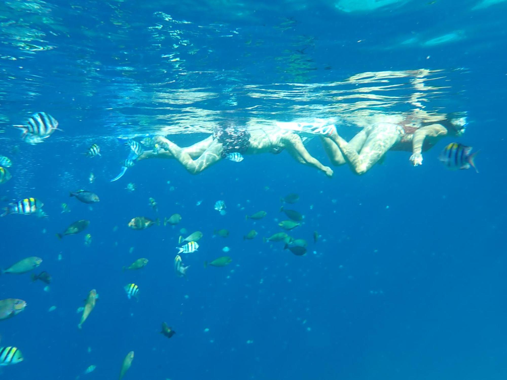 מלון United Colors Of Lembongan מראה חיצוני תמונה