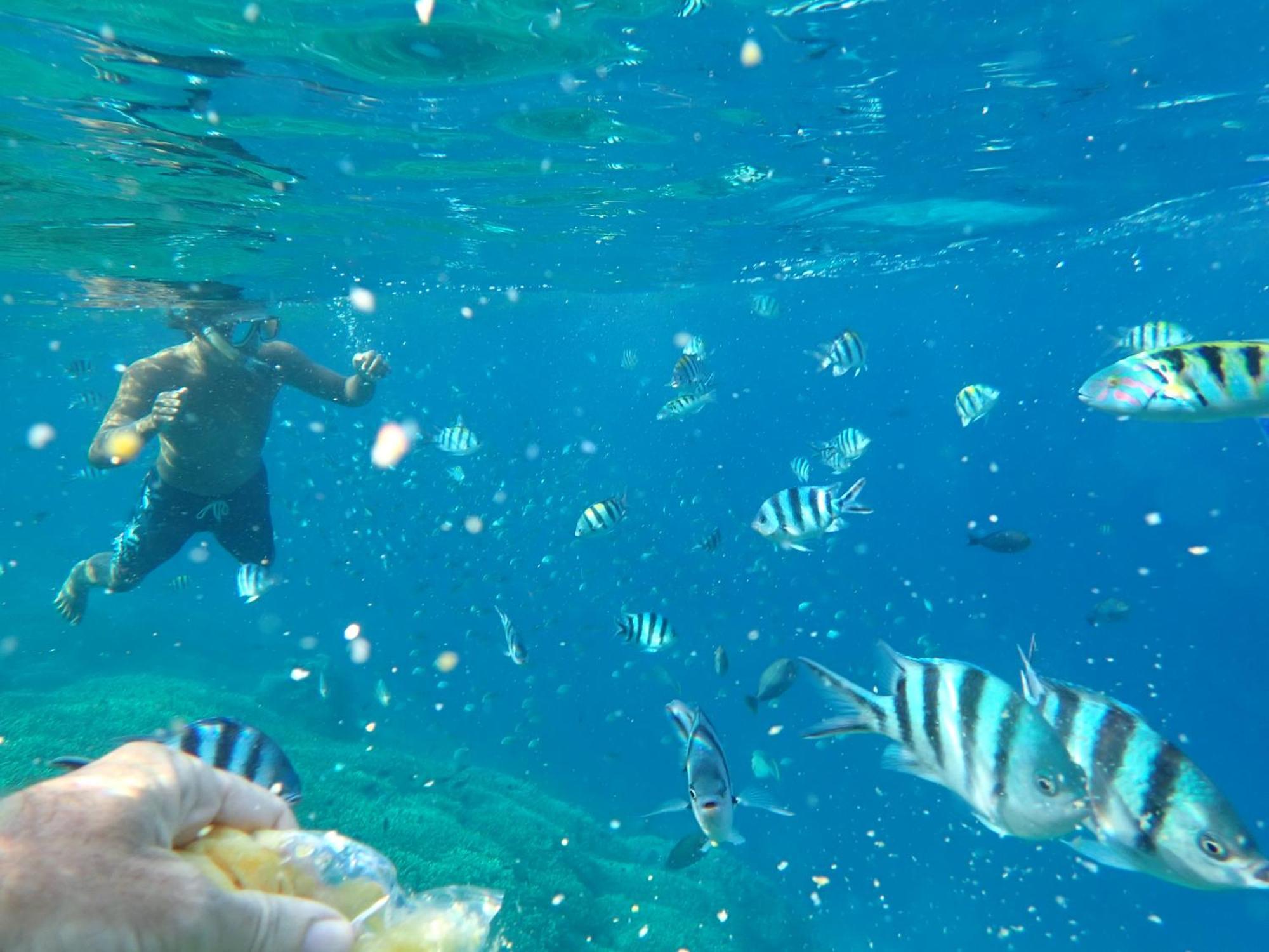 מלון United Colors Of Lembongan מראה חיצוני תמונה